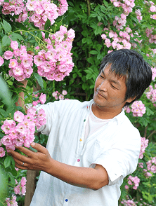 京阪園芸 小山内健先生