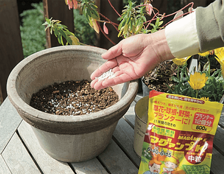 土谷ますみさんに教わる コンテナ 花壇のガーデンlesson 株式会社ハイポネックスジャパン