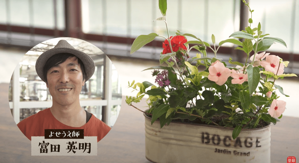 寄せ植え の人気記事や動画 おすすめ商品をご紹介 ハイポネックスジャパン