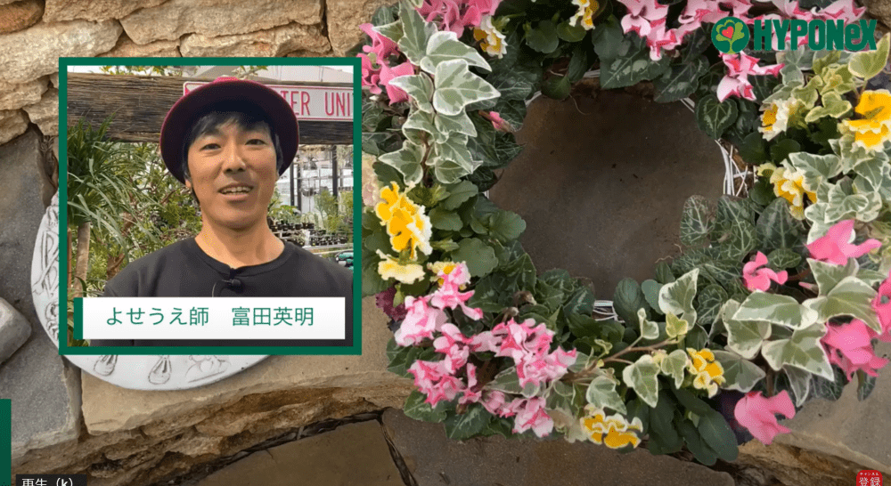 寄せ植え の人気記事や動画 おすすめ商品をご紹介 ハイポネックスジャパン 寄せ植え の人気記事や動画 おすすめ商品をご紹介 ハイポネックスジャパン