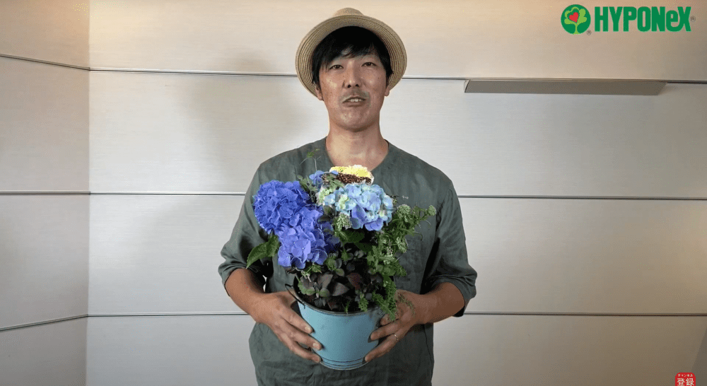 寄せ植え の人気記事や動画 おすすめ商品をご紹介 ハイポネックスジャパン 寄せ植え の人気記事や動画 おすすめ商品をご紹介 ハイポネックスジャパン