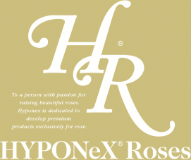 Hyponex Roses