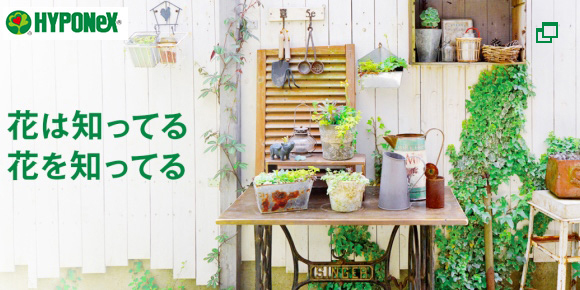 ハイポネックスジャパン 公式サイト