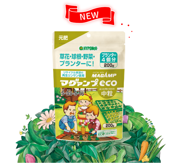 NEW マグァンプECO