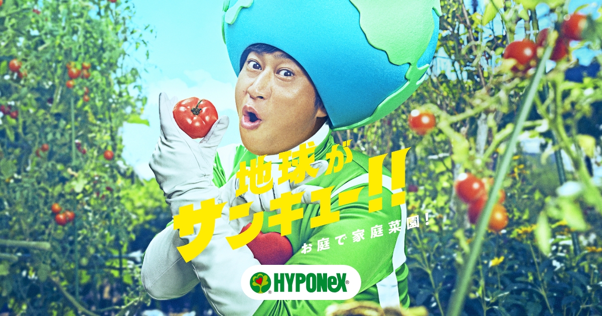 【heyco公式アカウント01】オーボエ　舟形ケーン100枚 地球がサンキュー！！ハイポネックス原液特設サイト