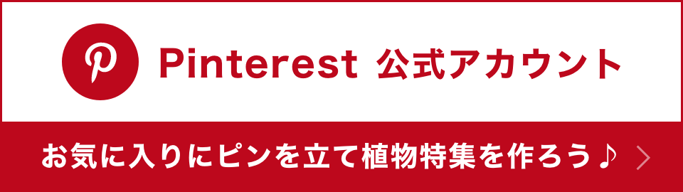 バナー：Pinterest