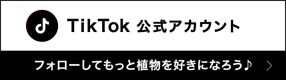 バナー：Pinterest