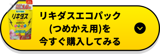 リキダスエコパック（つめかえ用）を今すぐ購入してみる