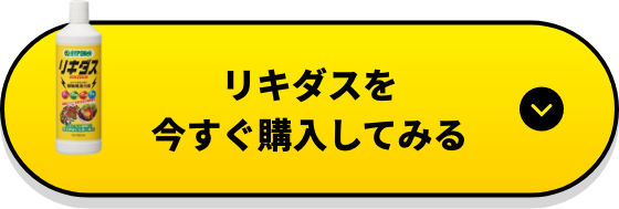 リキダスを今すぐ購入してみる