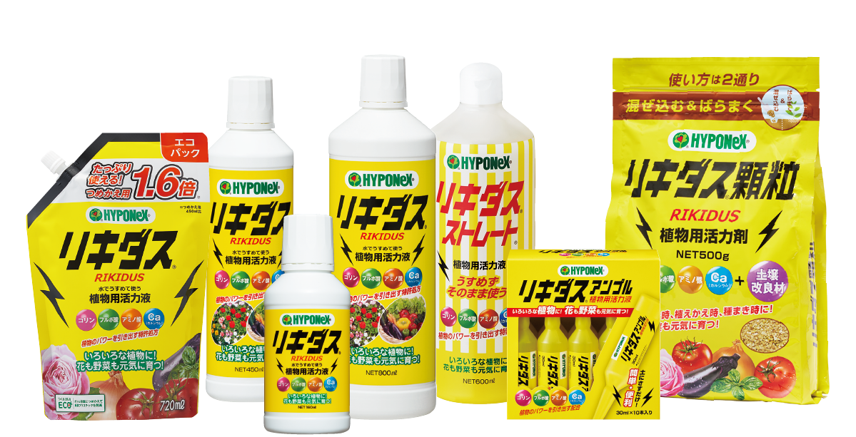 商品ラインアップ