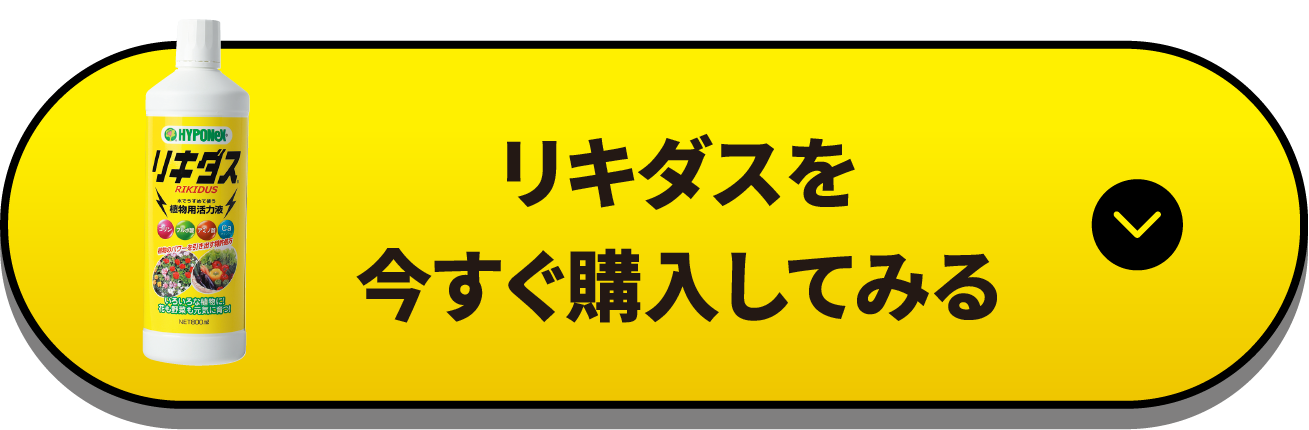 リキダス