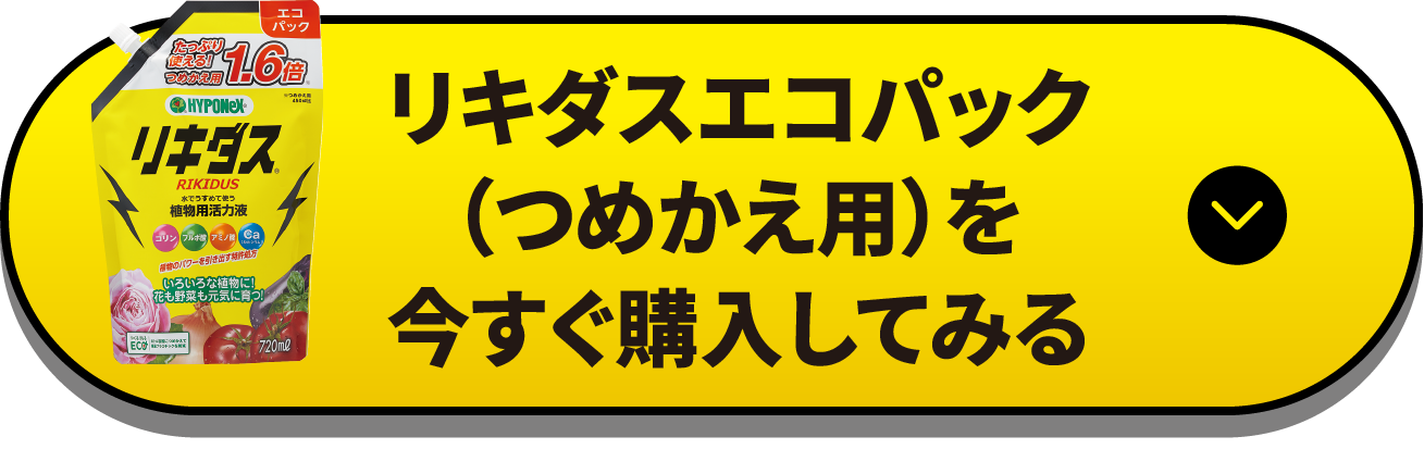 リキダスエコパック