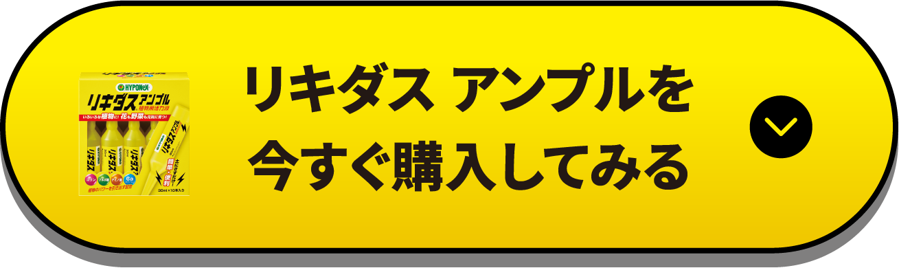 リキダスアンプル