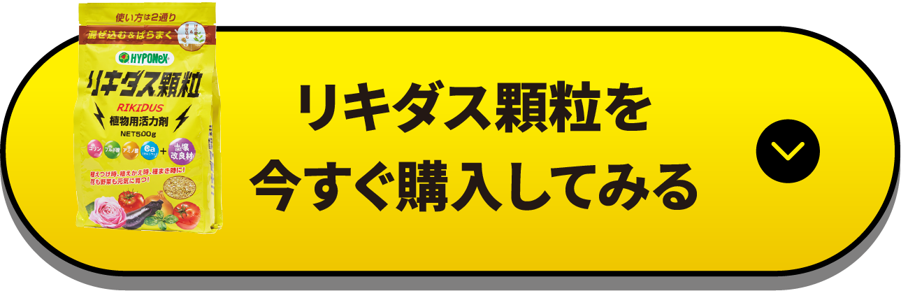 リキダス顆粒
