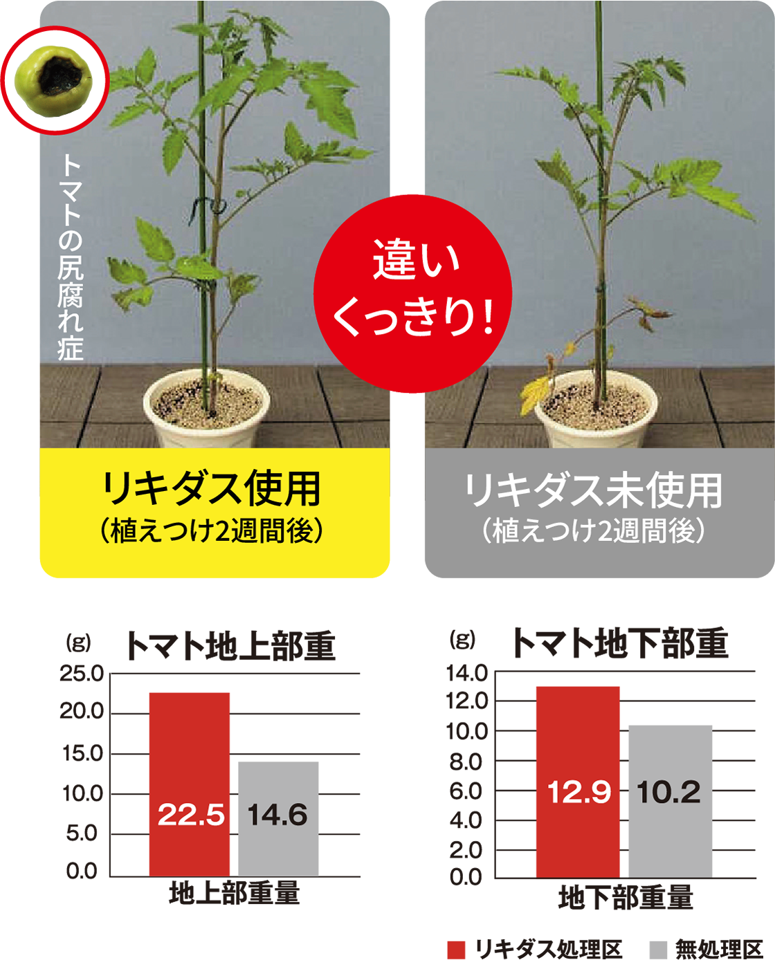試験データトマト
