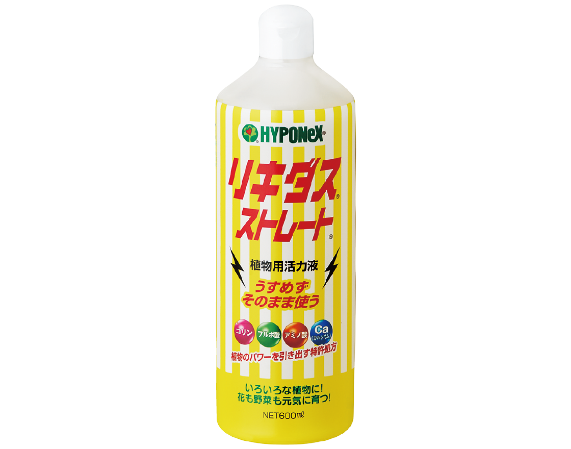 リキダスストレート