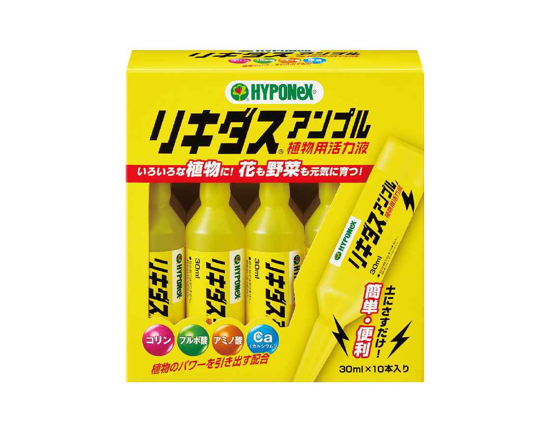 リキダスアンプル