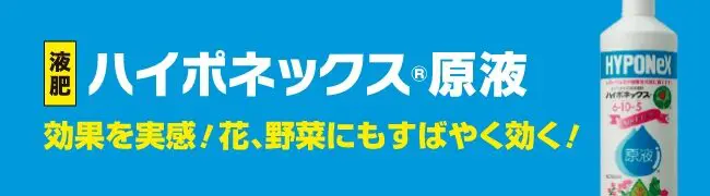 ハイポネックス原液