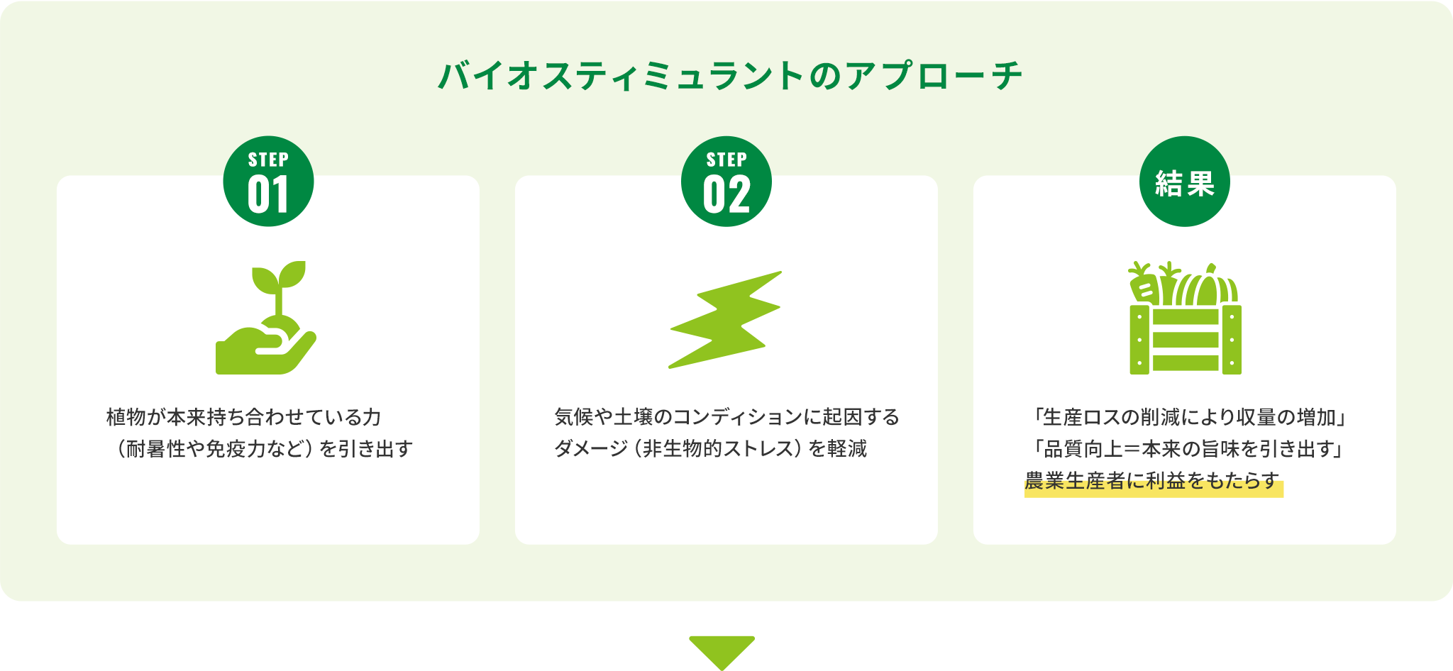 バイオスティミュラントのアプローチ
              step01 植物が本来持ち合わせている力（耐暑性や免疫力など）を引き出す
              step02 気候や土壌のコンディションに起因するダメージ（非生物的ストレス）を軽減
              結果 「生産ロスの削減により収量の増加」「品質向上＝本来の旨味を引き出す」農業生産者に利益をもたらす