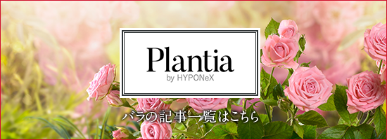 Plantiaのバナー