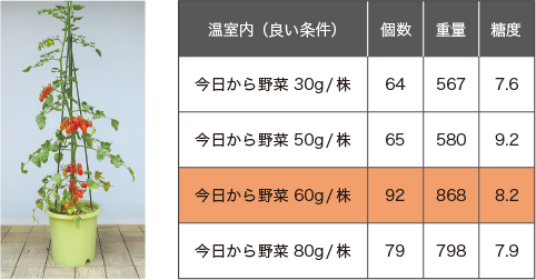 試験を繰り返し最適な施肥量を決定！