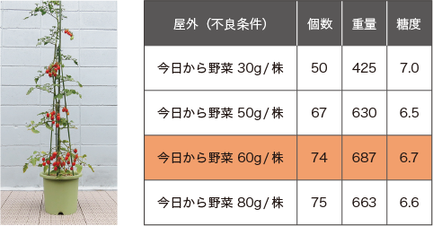 試験を繰り返し最適な施肥量を決定！