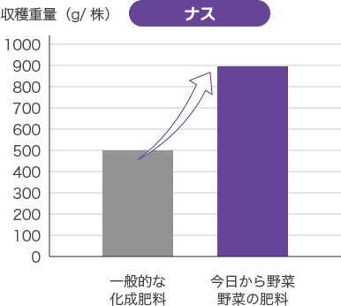 「今日から野菜」は収穫量が違う！ナス。