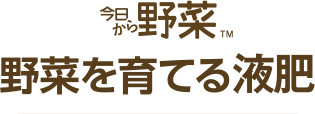 今日から野菜。野菜を育てる液肥