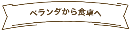 ベランダから食卓へ