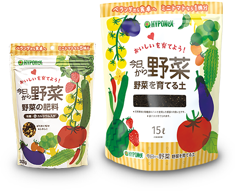 今日から野菜