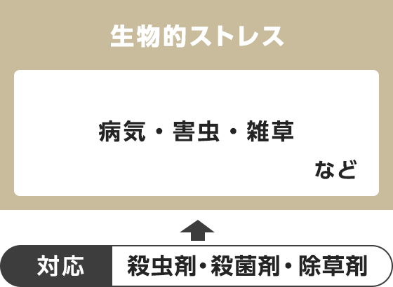 エネルギー要求によるストレス