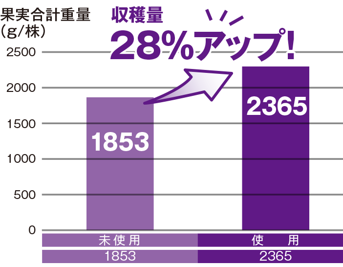 収穫量28％アップ！