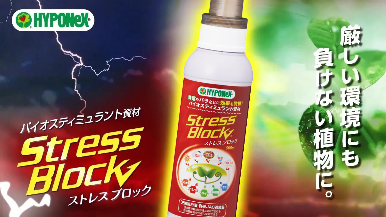 ムービー