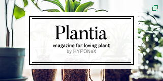 plantia