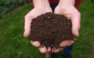 もっと知りたい肥料！ vol5 腐葉土ってなに？堆肥ってなに？