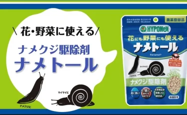 ナメクジ対策！ 生態や予防・犬や猫がいても大丈夫な駆除の方法とは？