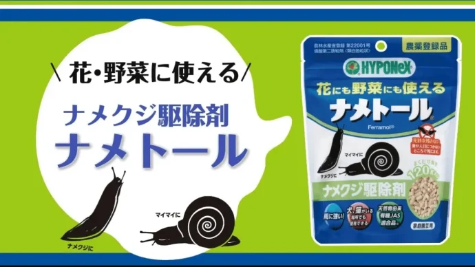 ナメクジ対策! 生態や予防・犬や猫がいても大丈夫な駆除の方法とは?