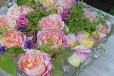 Labyrinth バラの迷宮 pickup45『クロード モネ Claude Monet』