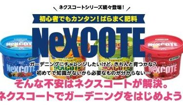 NeXCOTE ーネクスコートー