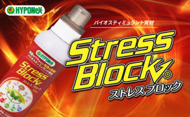 StressBlock