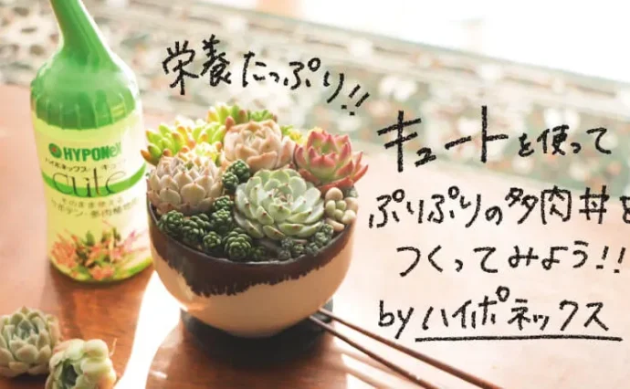 top-min-690x426.webp