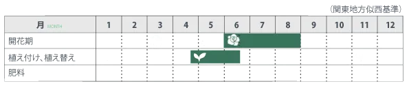 エダマメの基本的な管理方法