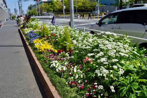 日吉駅前花壇