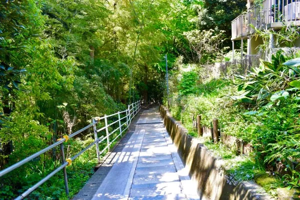 竹林脇をゆく遊歩道