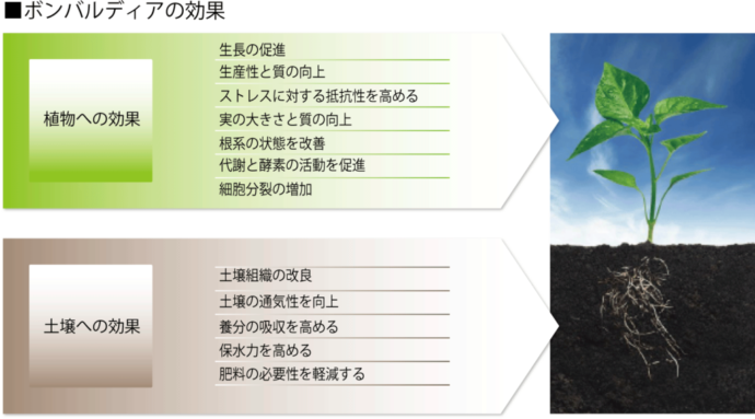 ボンバルディア　20L特長