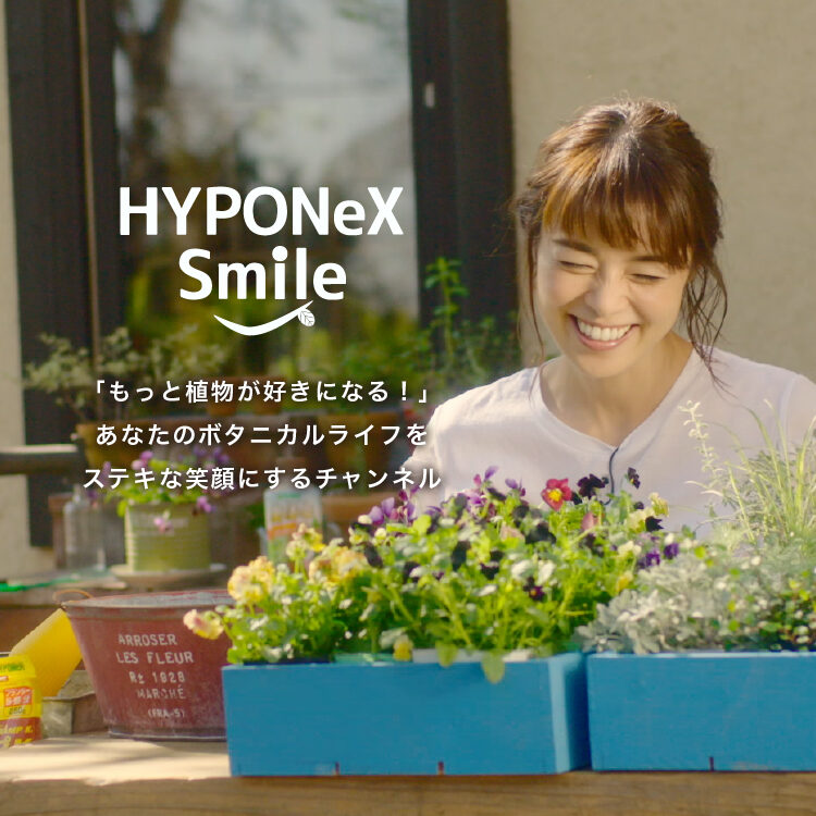 株式会社ハイポネックスジャパン|ガーデニング・園芸・肥料・薬品の総合情報サイト 株式会社ハイポネックスジャパン|ガーデニング・園芸・肥料・薬品の総合情報サイト