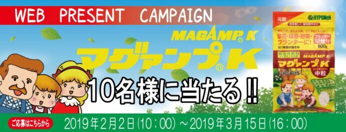 2019年2月2日より、マグァンプKプレゼントキャンペーンが始まりました。 詳しくはコチラをクリックしてキャンペーンページをご覧ください。 みなさんのご応募お待ちしております。