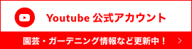 ハイポネックスYoutybe