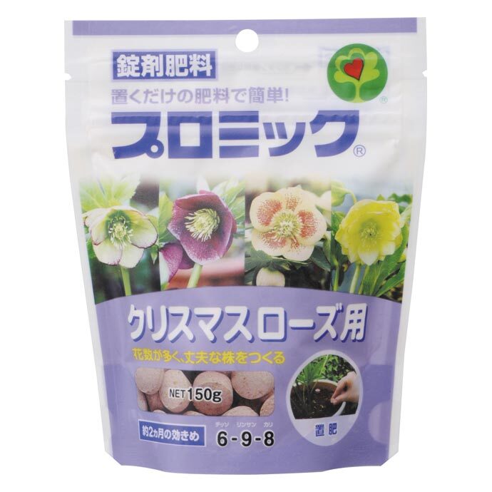 猛暑対策　クリスマスローズ種mix30粒 猛暑対策 クリスマスローズ種mix30粒