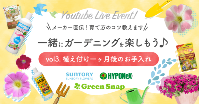 サントリーフラワーズ×GreenSnap ×ハイポネックスジャパン コラボ企画 オンラインイベントvol.3 【植え付け一ヶ月後のお手入れ】